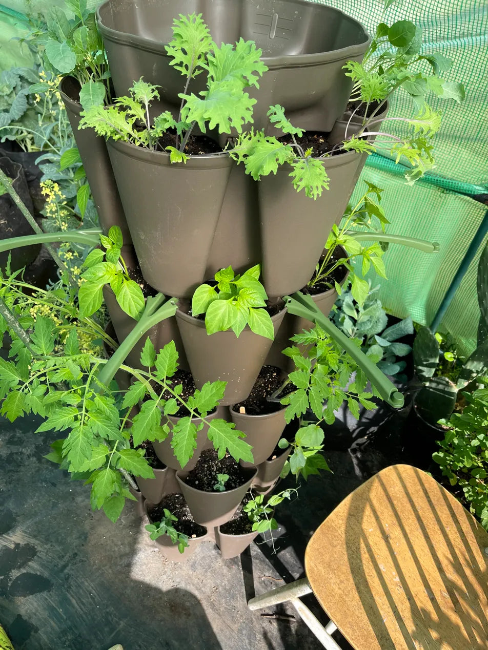 The Green Notebook - Lifetime Access