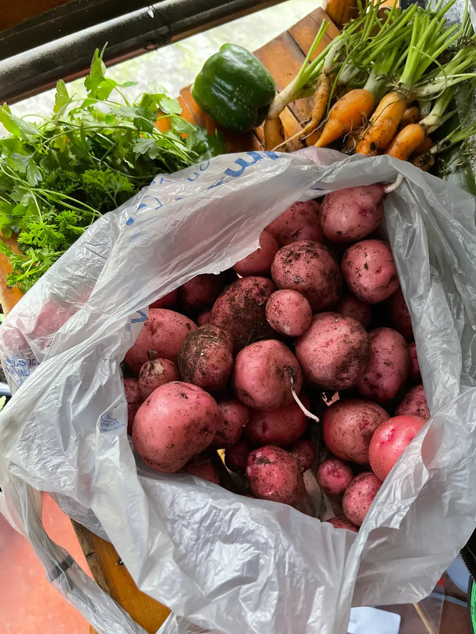 The Green Notebook - Lifetime Access